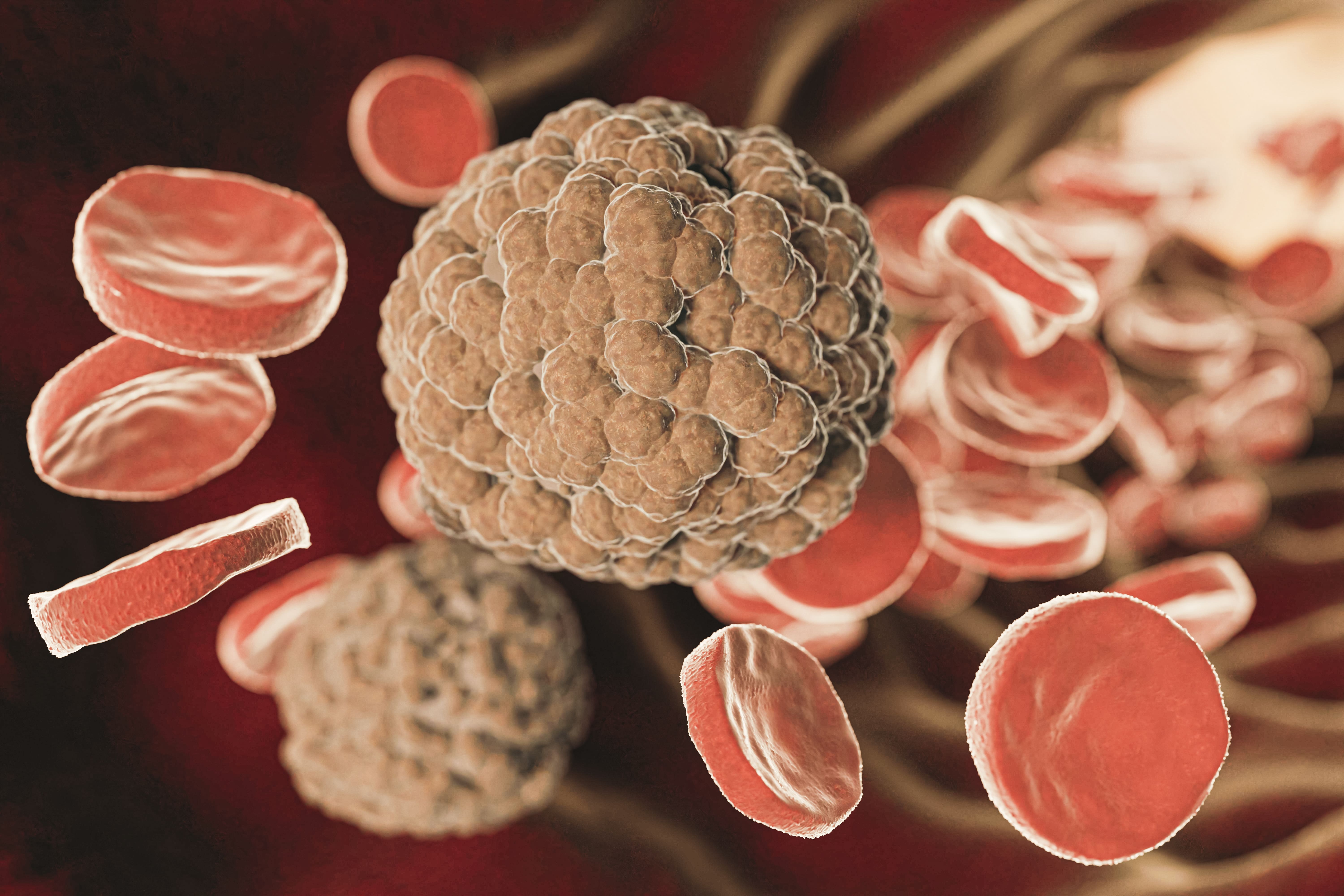 Blood Cancer Hero Image